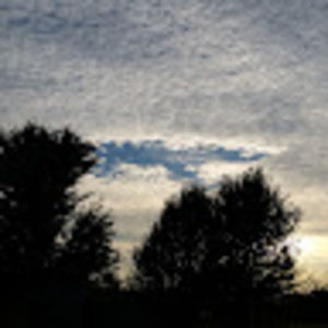 Meet your Posher, Bunnie